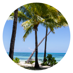 Plantation Island Resort - Specials