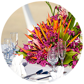 Plantation Island Resort - Our Island - Wedding