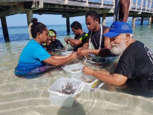 Coral Planting Preparation