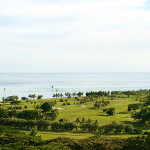 Plantation Island Resort - Activities - Golf