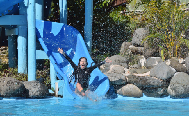 PIR Kids (12) PIR Kids (12)