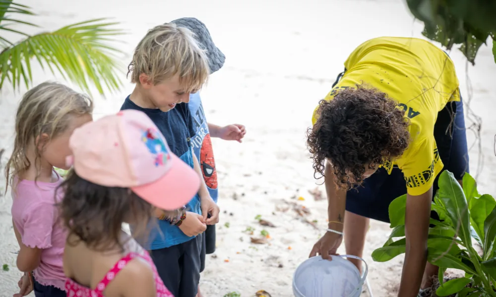 Children finding crabs on the beach for crab racing at Plantation Island Resort